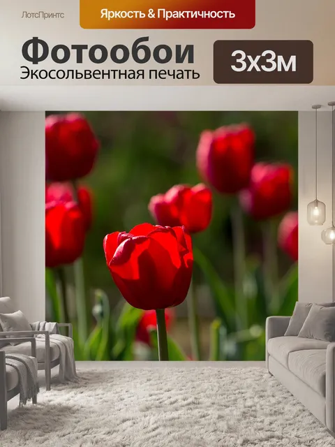 Фотообои Тюльпаны