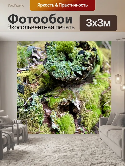 Фотообои Лес