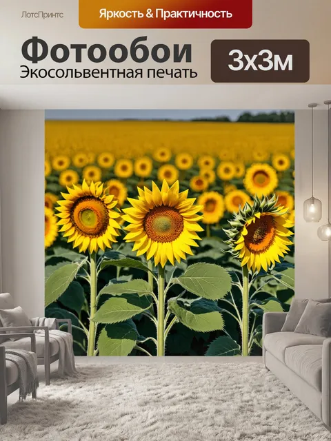 Фотообои поле подсолнухов в различных стадиях цветения, от бутонов до полностью раскрытых цветов
