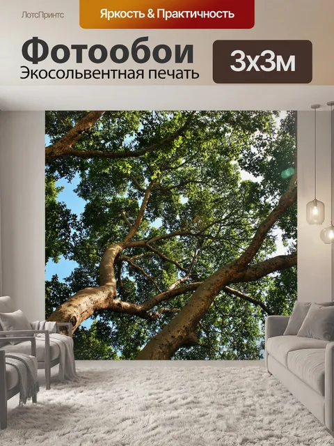 Фотообои высоко в большом дереве