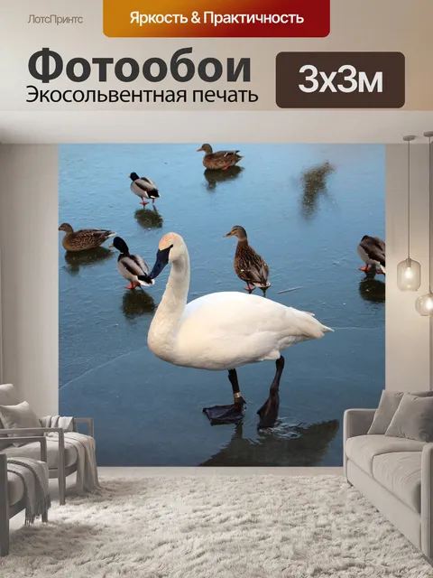 Фотообои Птицы