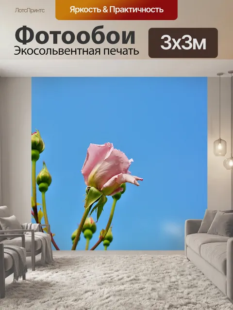 Фотообои Роза