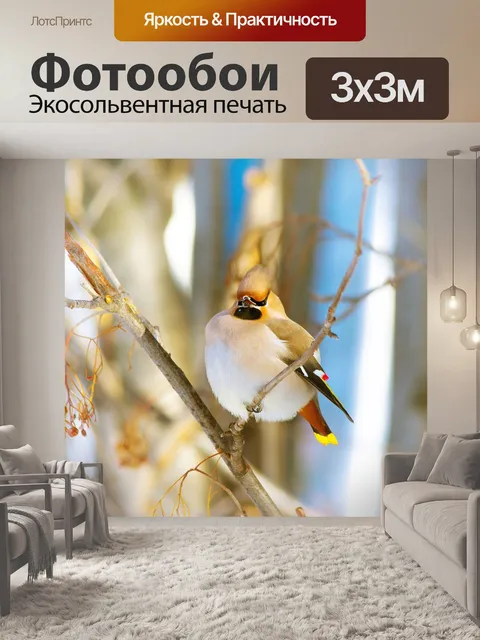 Фотообои Зима