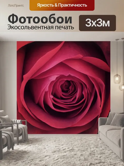 Фотообои Роза