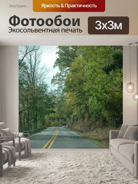 Фотообои Дорога