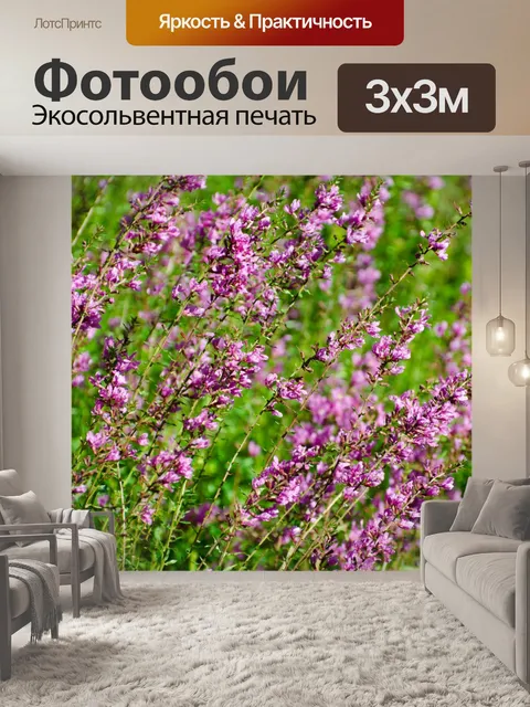 Фотообои Цветы