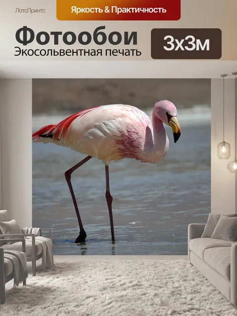 Фотообои Птицы