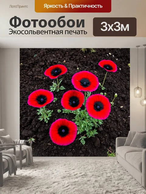 Фотообои красные и черные цветы, растущие на черной земле, создавая яркий контраст