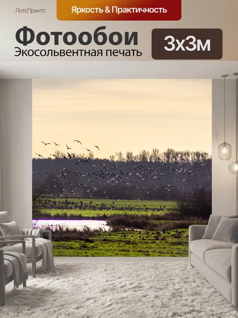 Фотообои Птицы