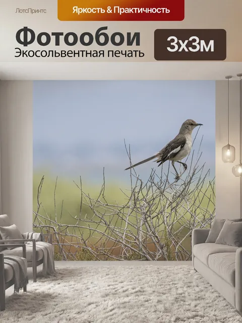 Фотообои Дерево