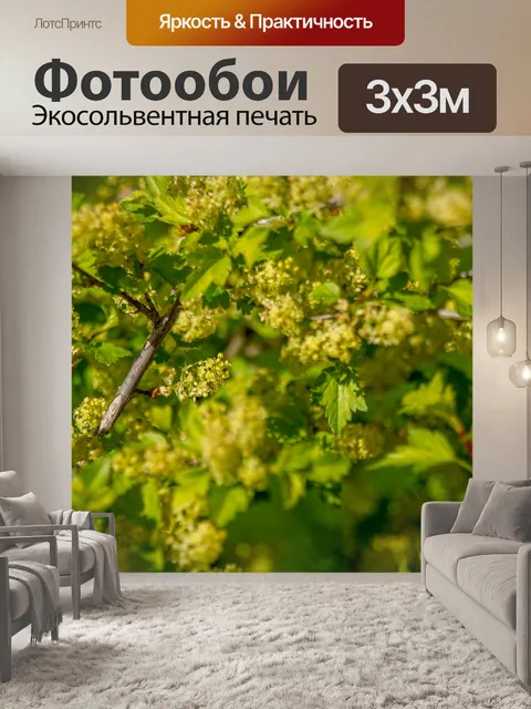 Фотообои Парк завод