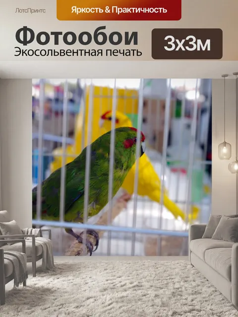 Фотообои Попугай птиц