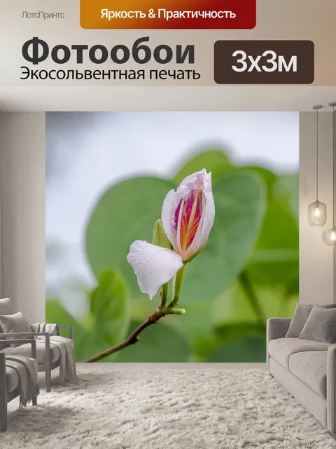 Фотообои Цветы