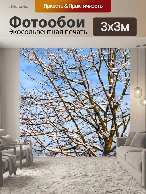 Фотообои Дерево Зима и Blue Sky