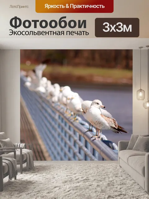 Фотообои Птицы