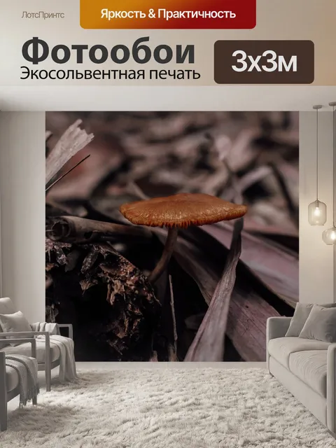 Фотообои Гриб