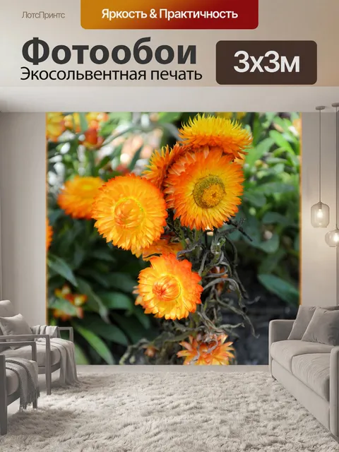 Фотообои Голландские цветы в садах 79