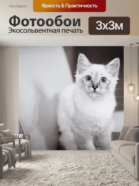 Фотообои Черно-белый