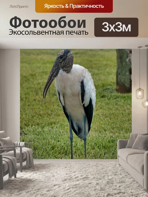 Фотообои Деревянный аист