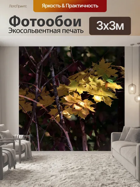 Фотообои Клен
