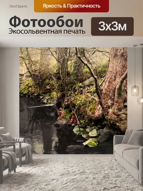 Фотообои черный Ручей в лесу