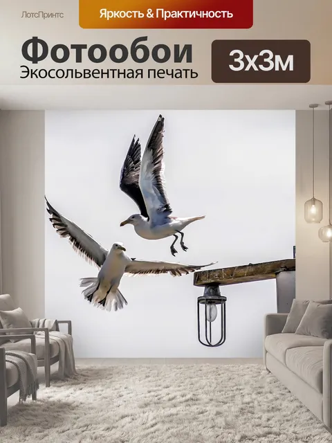 Фотообои Птица