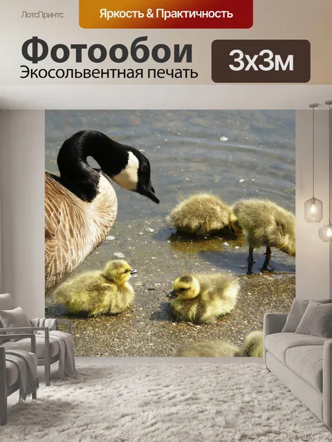 Фотообои Гусь