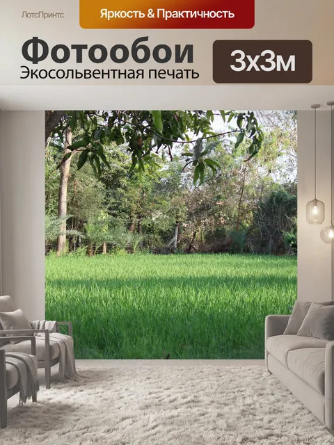 Фотообои Деревья