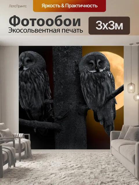 Фотообои Сова