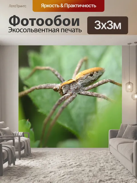 Фотообои Насекомое