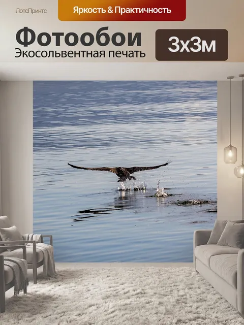 Фотообои Птицы