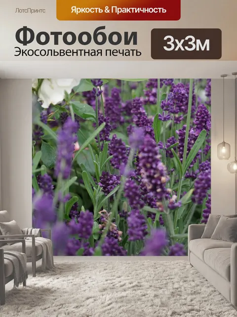 Фотообои Лаванда