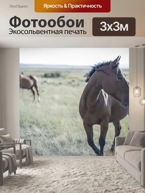 Фотообои Лошади