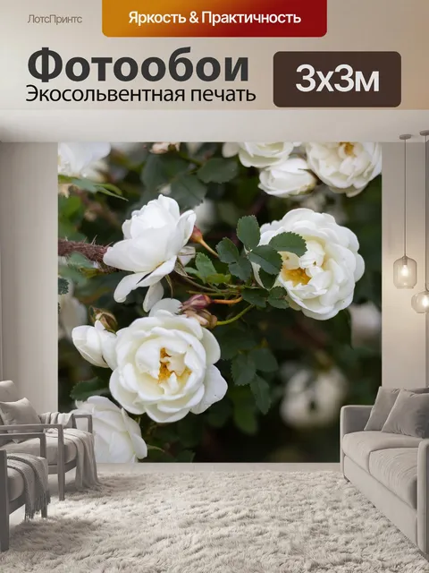 Фотообои Шиповник