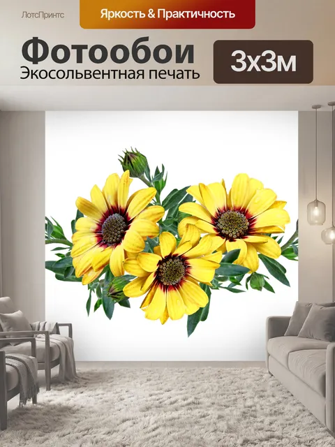 Фотообои Клип желтые цветы астры