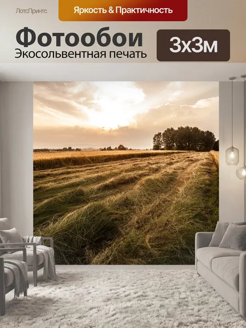 Фотообои Поле на закате