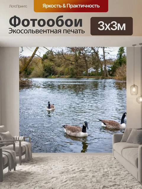 Фотообои Гуси
