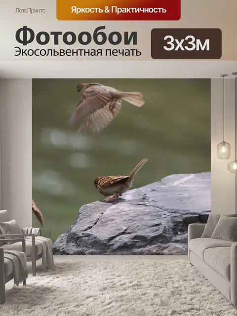 Фотообои Воробей