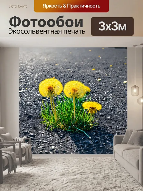 Фотообои одуванчики в городской среде, пробивающиеся сквозь асфальт