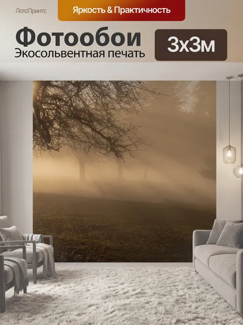 Фотообои Туман