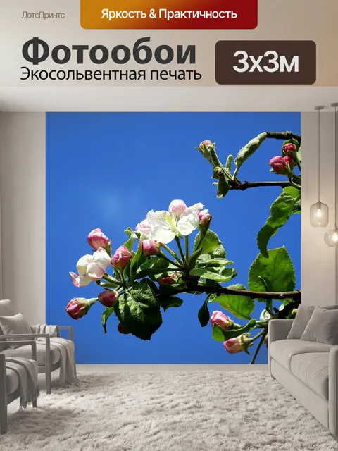 Фотообои Цветы