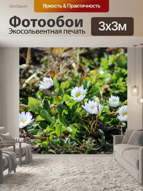 Фотообои Природа