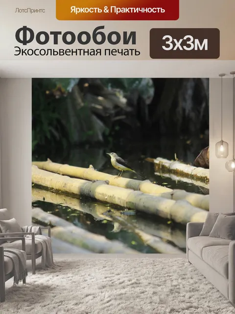 Фотообои Птица