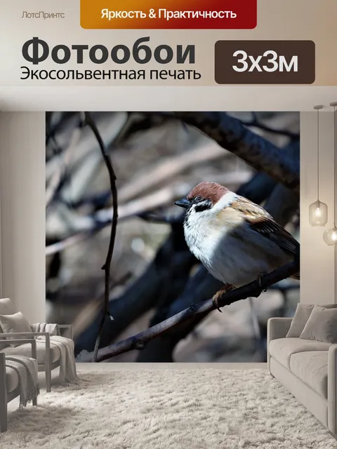 Фотообои Птица