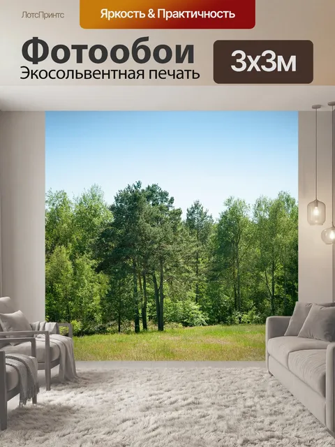 Фотообои Лес