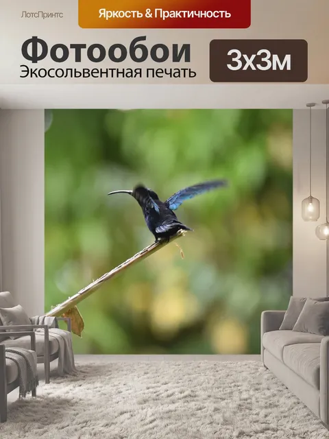 Фотообои Птица