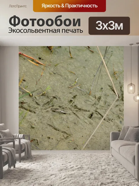 Фотообои Waterside ходьбы