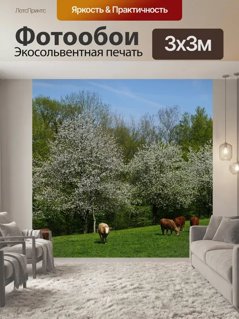 Фотообои Пейзаж