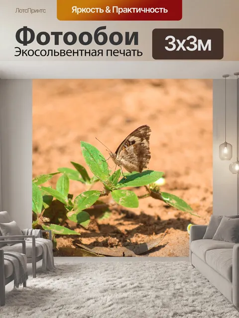 Фотообои Природа