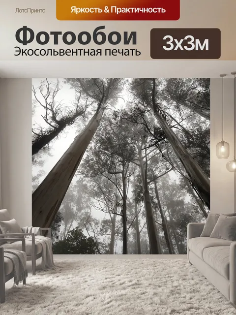 Фотообои Деревья